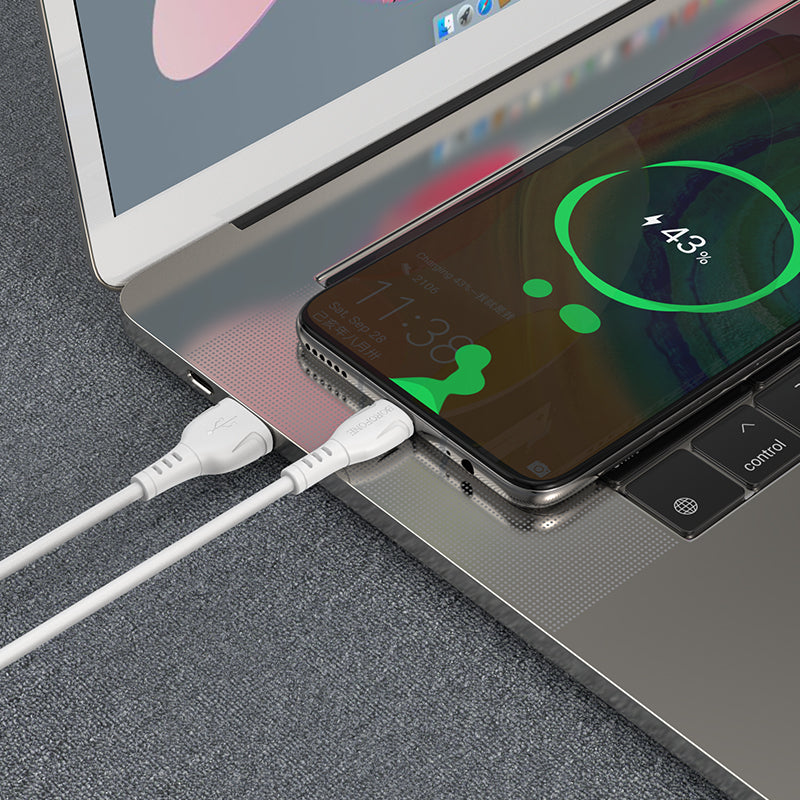 USB-A - USB-C Borofone BX51 Triumph adat- és töltőkábel, 20W, 1m, fehér