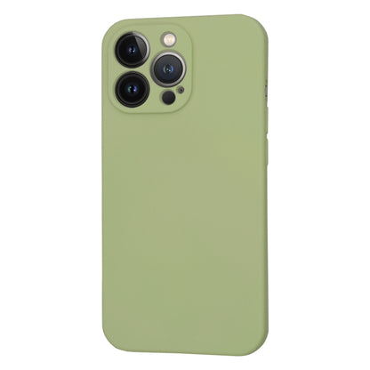 MagSafe tok Apple iPhone 13 Pro-hoz, Techsuit, SoftFlex, Matcha