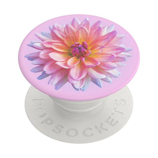 PopGrip Popsockets Dahlia Icon tartó, Többszínű